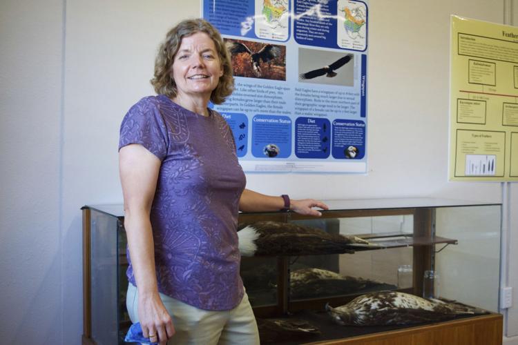 Dr. Diane Neudorf stands next to a case containing three preserved eagles
